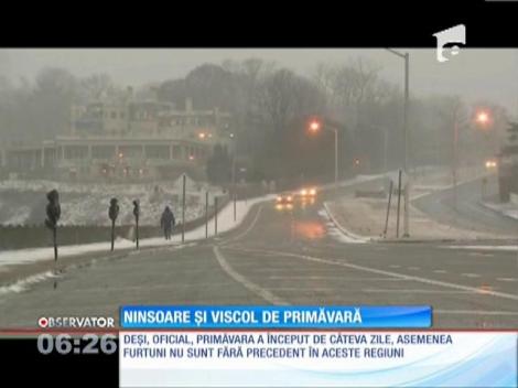 Ninsori şi viscol de primăvară în America de Nord