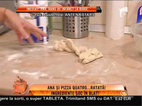 Ana Maria Mocanu, gospodină nepricepută