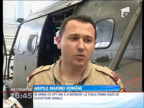 Aripile Marinei Române