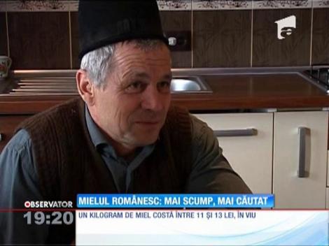 Mielul românesc, mai scump de Paște