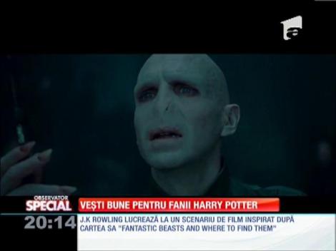 Special! Lumea de basm din filmul Harry Potter va reveni pe marile ecrane