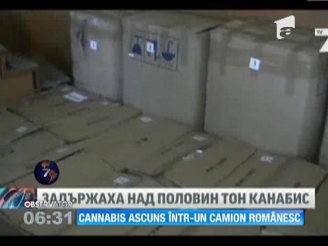 Captură impresionantă de marijuana făcută de vameșii bulgari într-un camion românesc