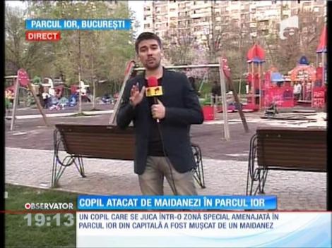 UPDATE / Un copil de 7 ani a fost muşcat de câini în parcul IOR din Capitală