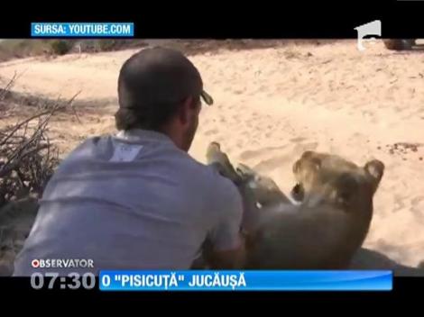 O leoaică mai jucăuşă decât o pisicuţă