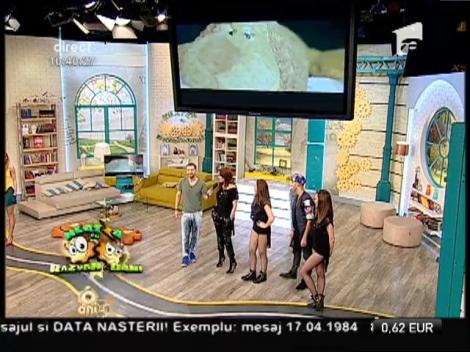 Nico si F. Charm lansează la Neatza - "9"