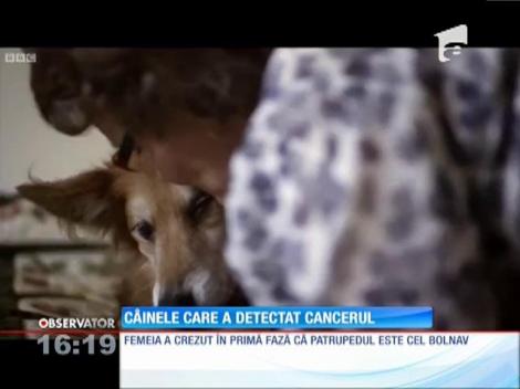 C&acirc;inele care a detectat cancerul