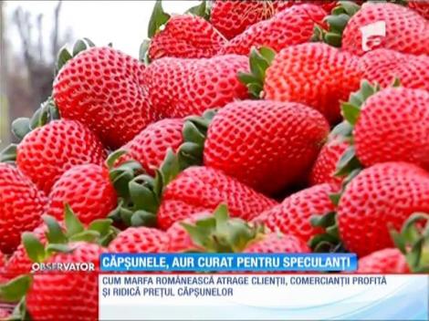 Căpșunele, aur curat pentru speculanți