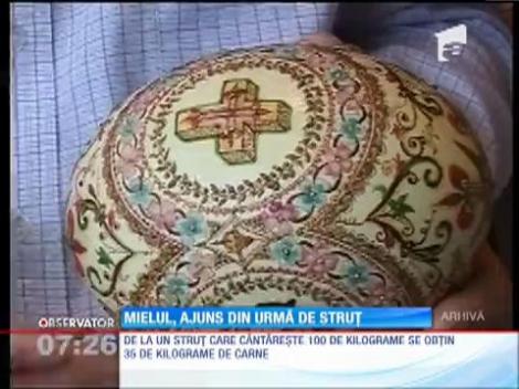 Mielul, ajuns din urmă de struț pentru masa de Paste