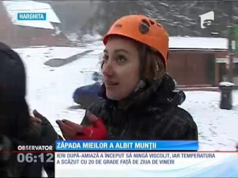 Zăpada mieilor a albit munţii