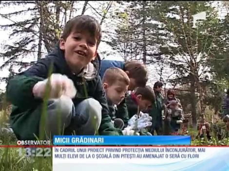Elevii de la o şcoală din Piteşti au amenajat o seră cu flori