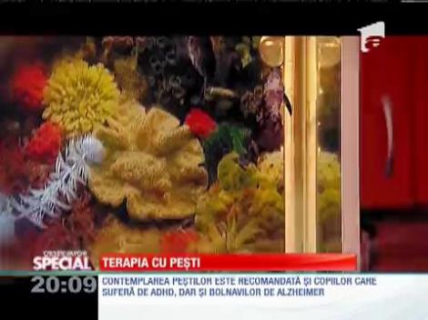 SPECIAL! Terapia cu pești împotriva stresului