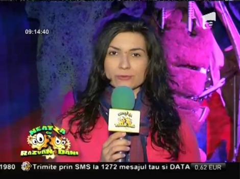 Vedetele expoziţiei de roboţi româneşti din Capitală