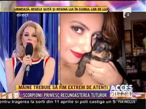 Berbecii sunt mai puternici ca niciodată: Horoscopul de joi, prezentat de Camelia Pătrășcanu