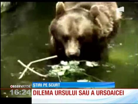 Ursoaica nedreptăţită mai bine de două decenii