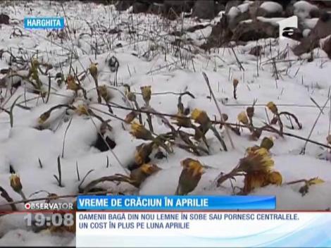 UPDATE / Iarnă în mijlocul primăverii