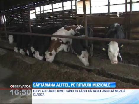 "Şcoala Altfel", pe ritmuri muzicale