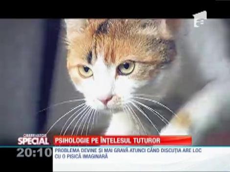 SPECIAL! Psihologie pe &icirc;nțelesul tuturor