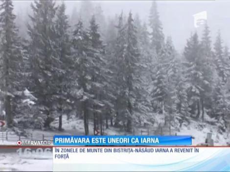 Centrul şi estul ţării rămân până sâmbătă dimineaţă sub cod galben de ninsori şi ploi