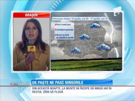 Iepuraşul ar putea să vină cu sania