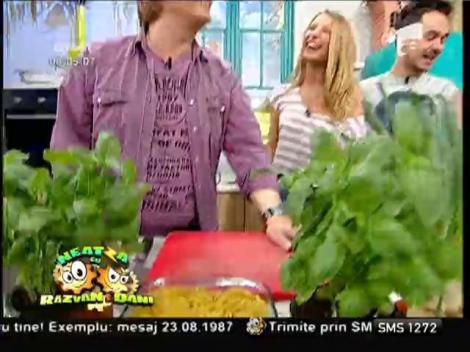 Rețeta lui Vlădutz: Penne Flaviene