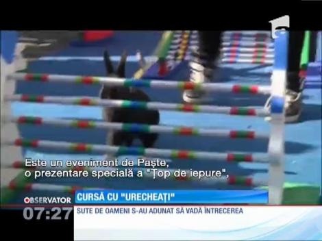 Cursa iepurașilor din Praga