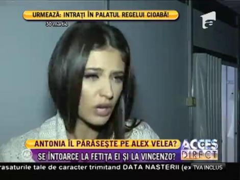Antonia l-ar putea părăsi pe Alex Velea
