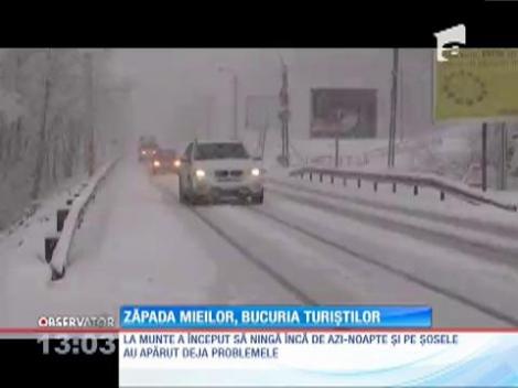 Cod galben de ploi şi ninsori