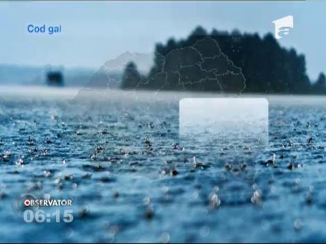 Maşină distrusă de un copac