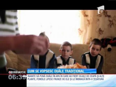 Plantele din grădină care vopsesc ouăle de Paşte