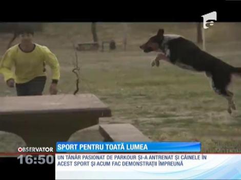 Câinele pasionat de sporturi extreme