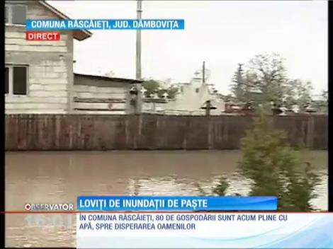 Zeci de gospodarii din judetul Prahova au fost inundate în urma ploilor torenţiale