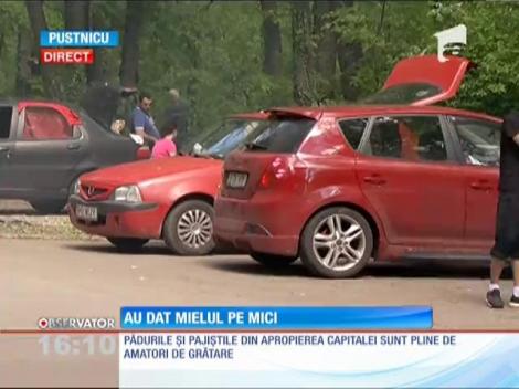 Pădurile și pajiștile din apropierea Capitalei sunt pline de amatori de grătare