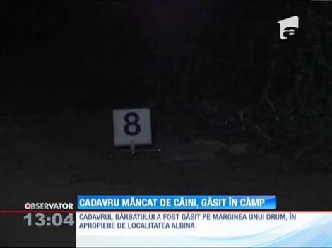 Cadavrul unui bărbat a fost devorat de animale în localitatea Albina