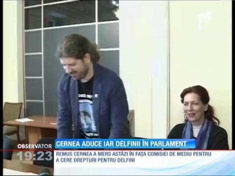 Remus Cernea vrea drepturi pentru delfini
