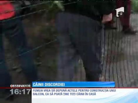 Câinii discordiei