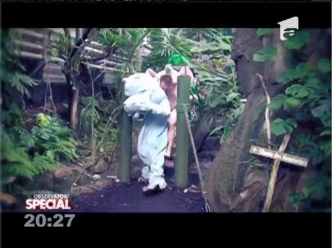 Special! "Tarzan" de la grădină zoologică