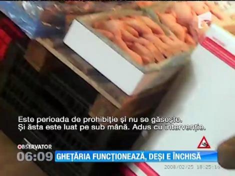 Celebra Gheţărie, depozitul alimentar de la marginea capitalei, funcţionează, deşi în acte este închisă