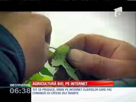 Agricultură bio, pe internet