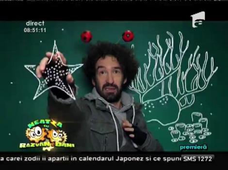 Aylin & The Lucky Charms - "Half Of Me"