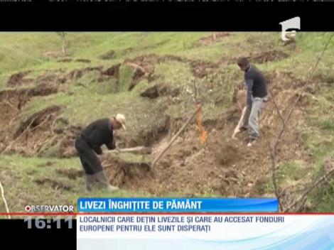 Livezi distruse de alunecări de teren în comuna Bărbuleţu din Dâmboviţa