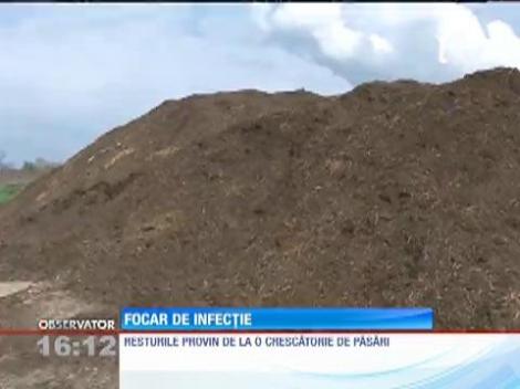 Focar de infecţie, în Prahova