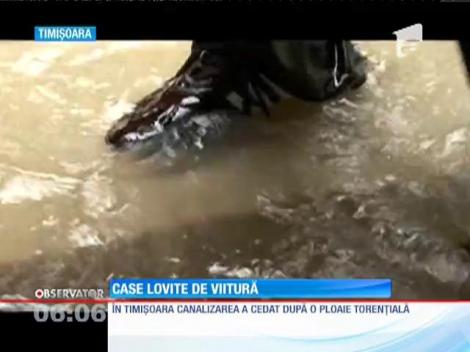O ploaie torenţială a inundat un cartier din Bocşa