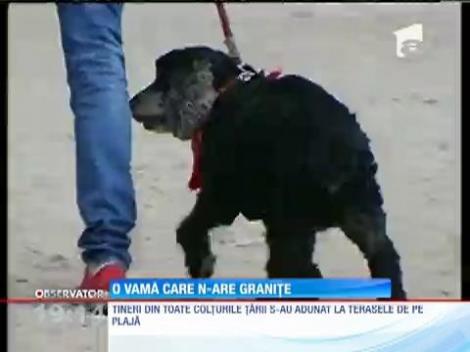 Vamaioții nu ținut cont de vremea mohorâtă