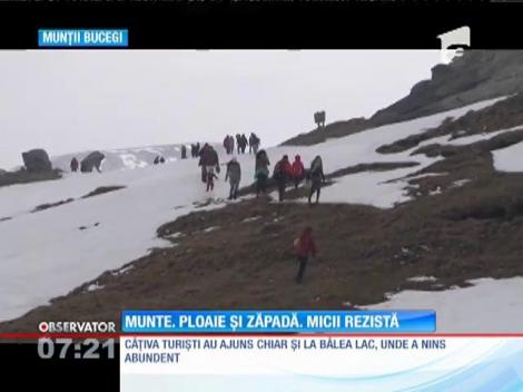 Grătarele s-au încins şi pe zăpadă! Micii au sfârâit, vinul a curs iar turiştii s-au bătut cu bulgări