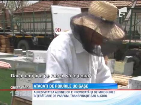 IMAGINI ȘOCANTE! Albinele au băgat spaima într-o localitate din Vaslui. 7 oameni au ajuns la spital!