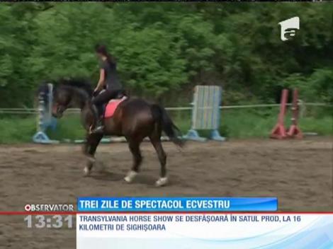 Transylvania Horse Show, cel mai important concurs internaţional de echitaţie din România