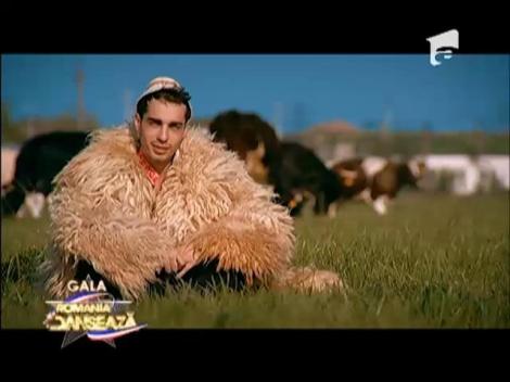 Prezentare ”Traficantul de Vaci”