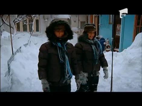 Mihai și Gabi, doi gemeni faimoși, cuceresc bucătăria Junior Chef