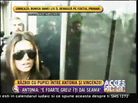 Război cu pupici între Antonia şi Vincenzo!