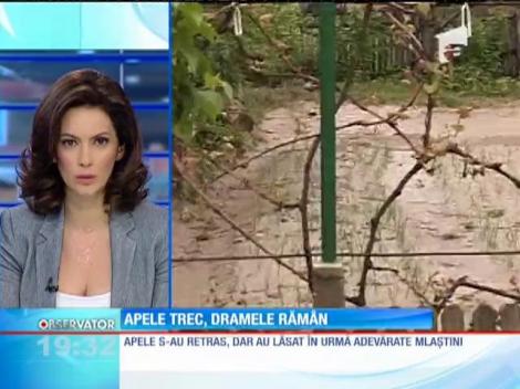 S-au retras puhoaiele, au rămas mlaştinile şi lacrimile